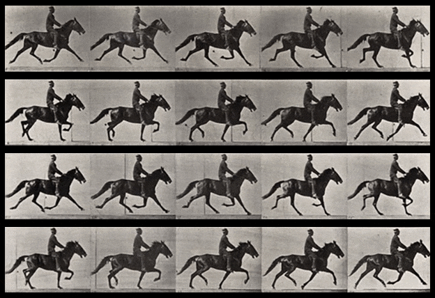 horse running in multiplicity